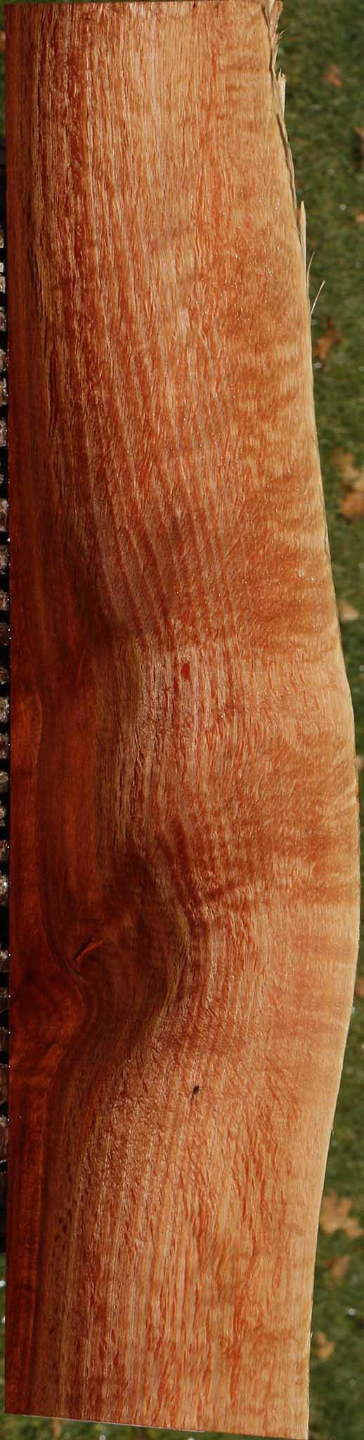 Beefwood Live Edge Lumber