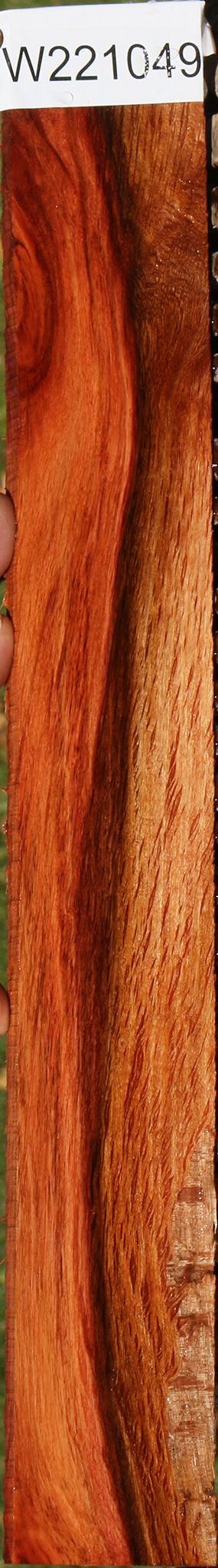 Beefwood Micro Lumber