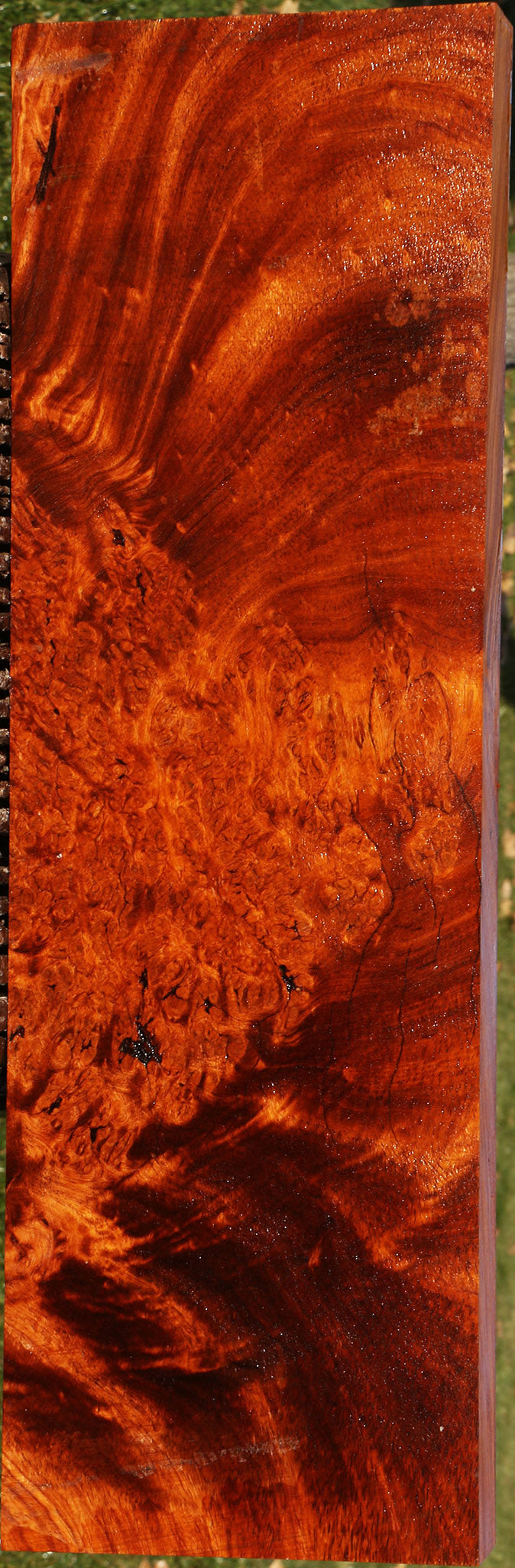 Figured Afzelia Burl Lumber