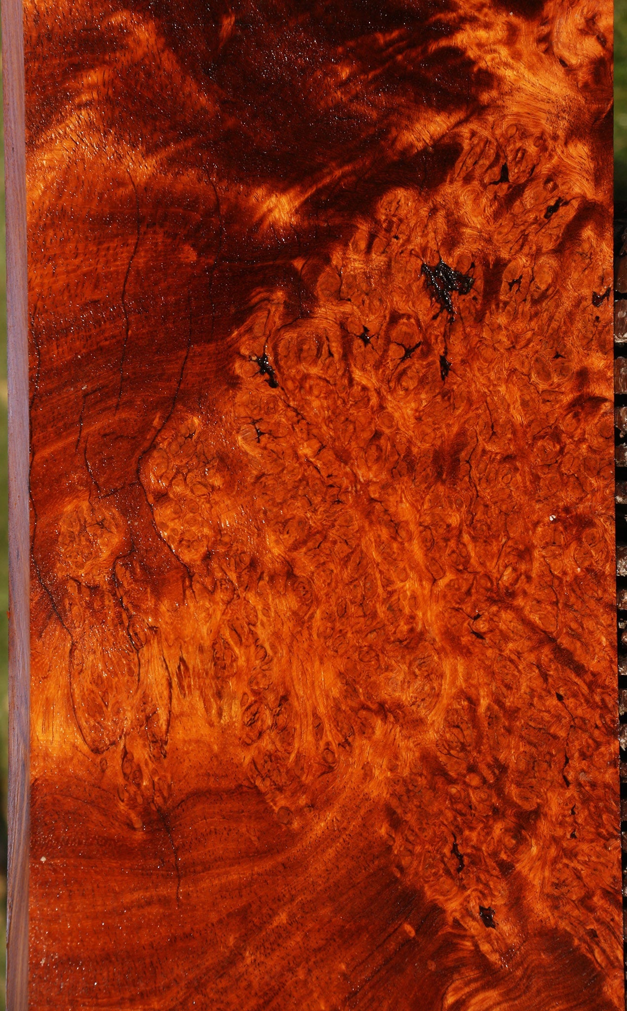 Figured Afzelia Burl Lumber