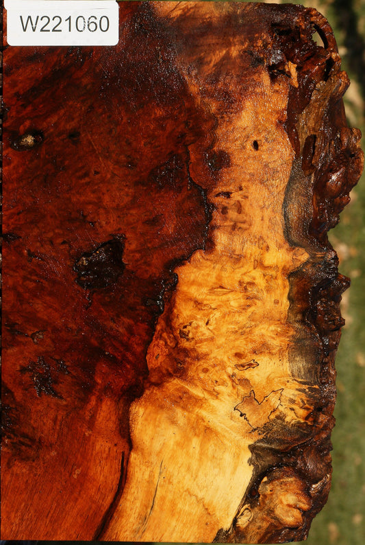 Afzelia Burl Live Edge Lumber