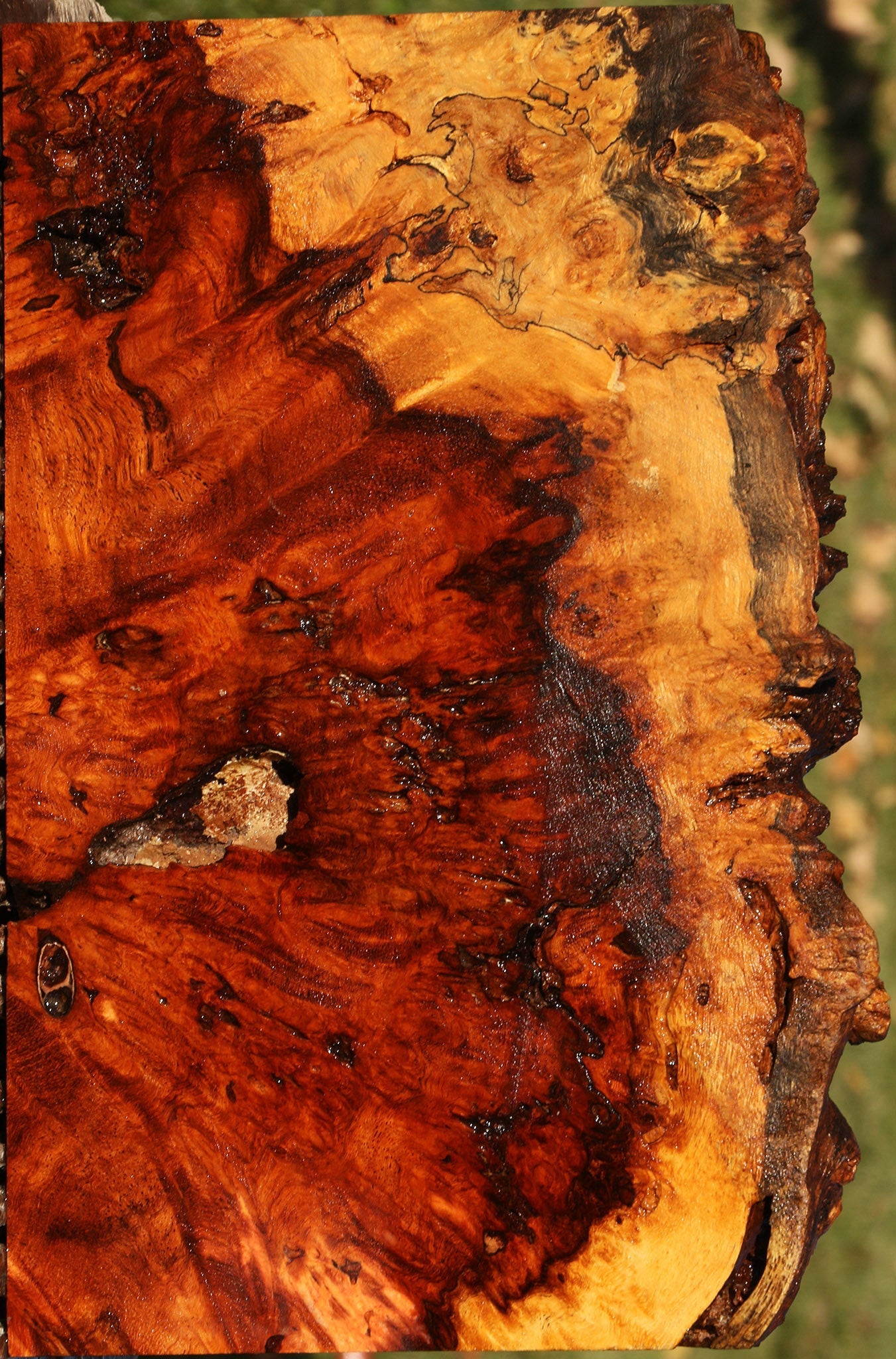 Afzelia Burl Live Edge Lumber