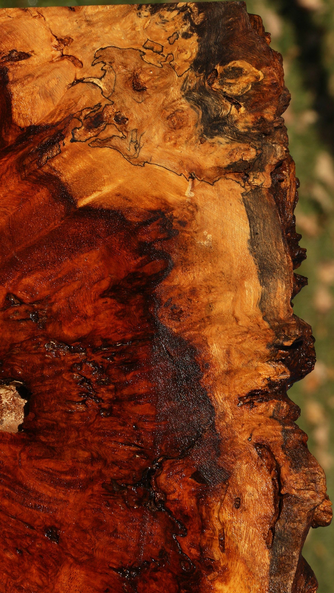 Afzelia Burl Live Edge Lumber