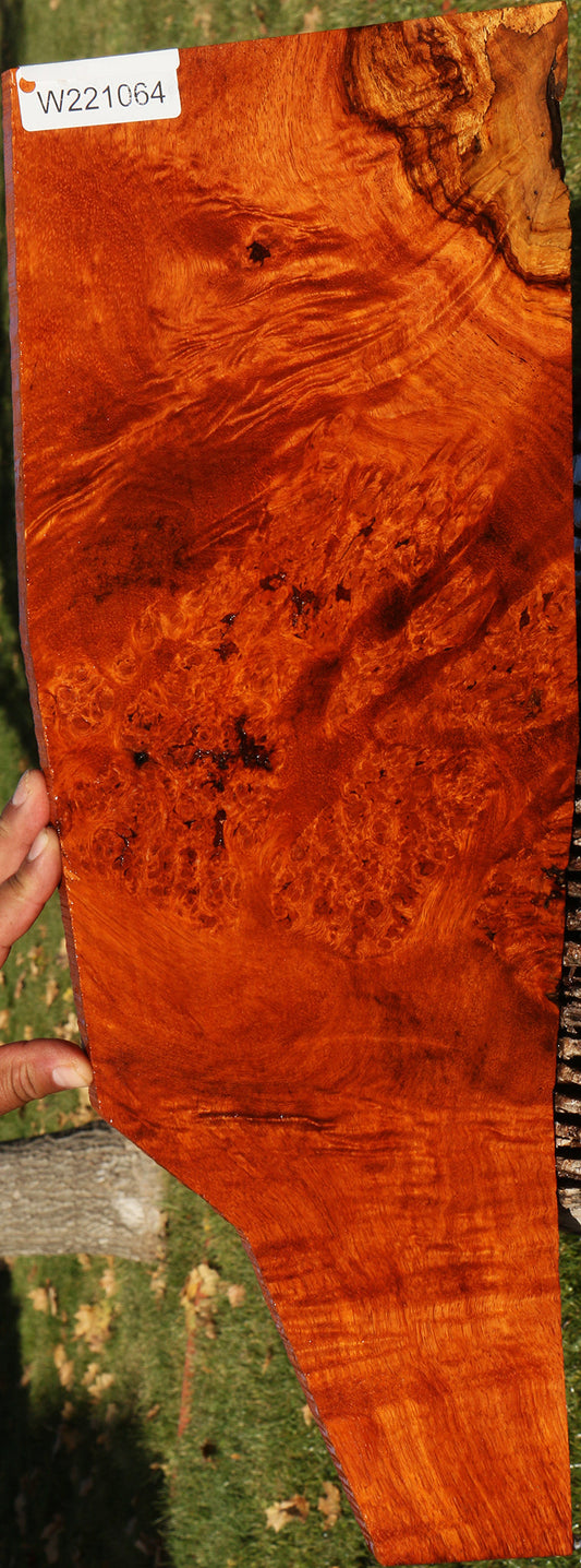 Figured Afzelia Burl Instrument Lumber