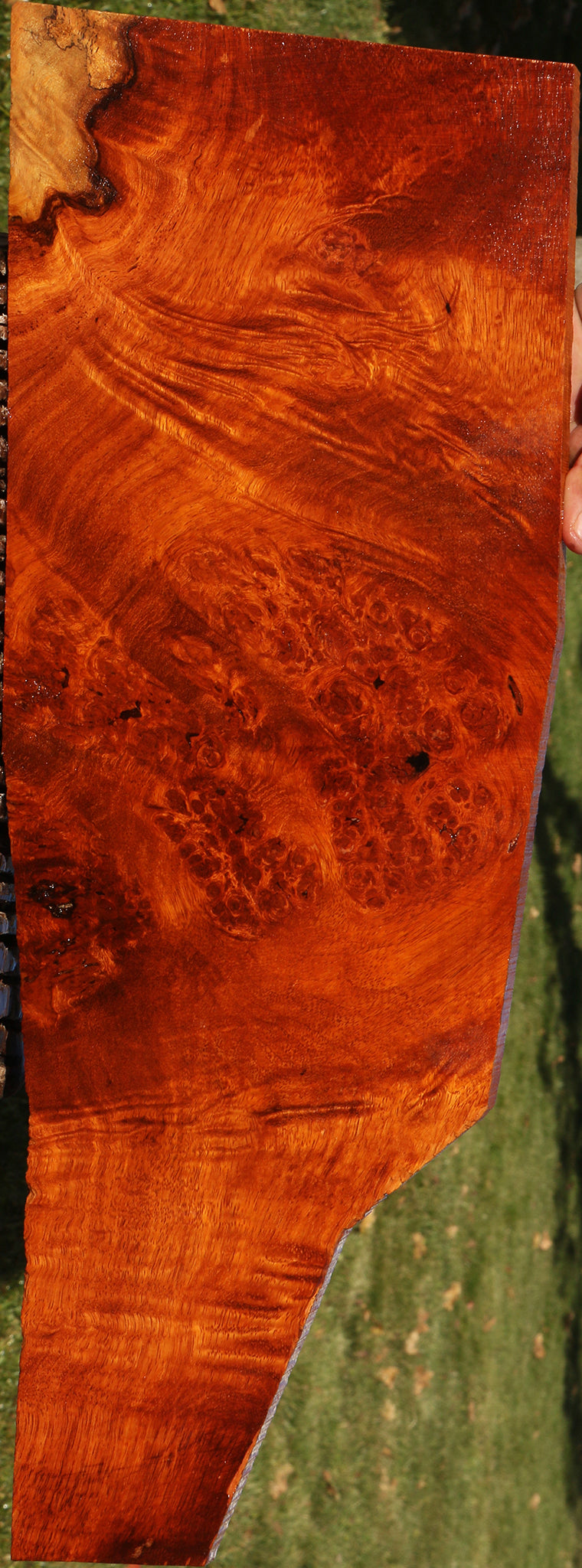 Figured Afzelia Burl Instrument Lumber