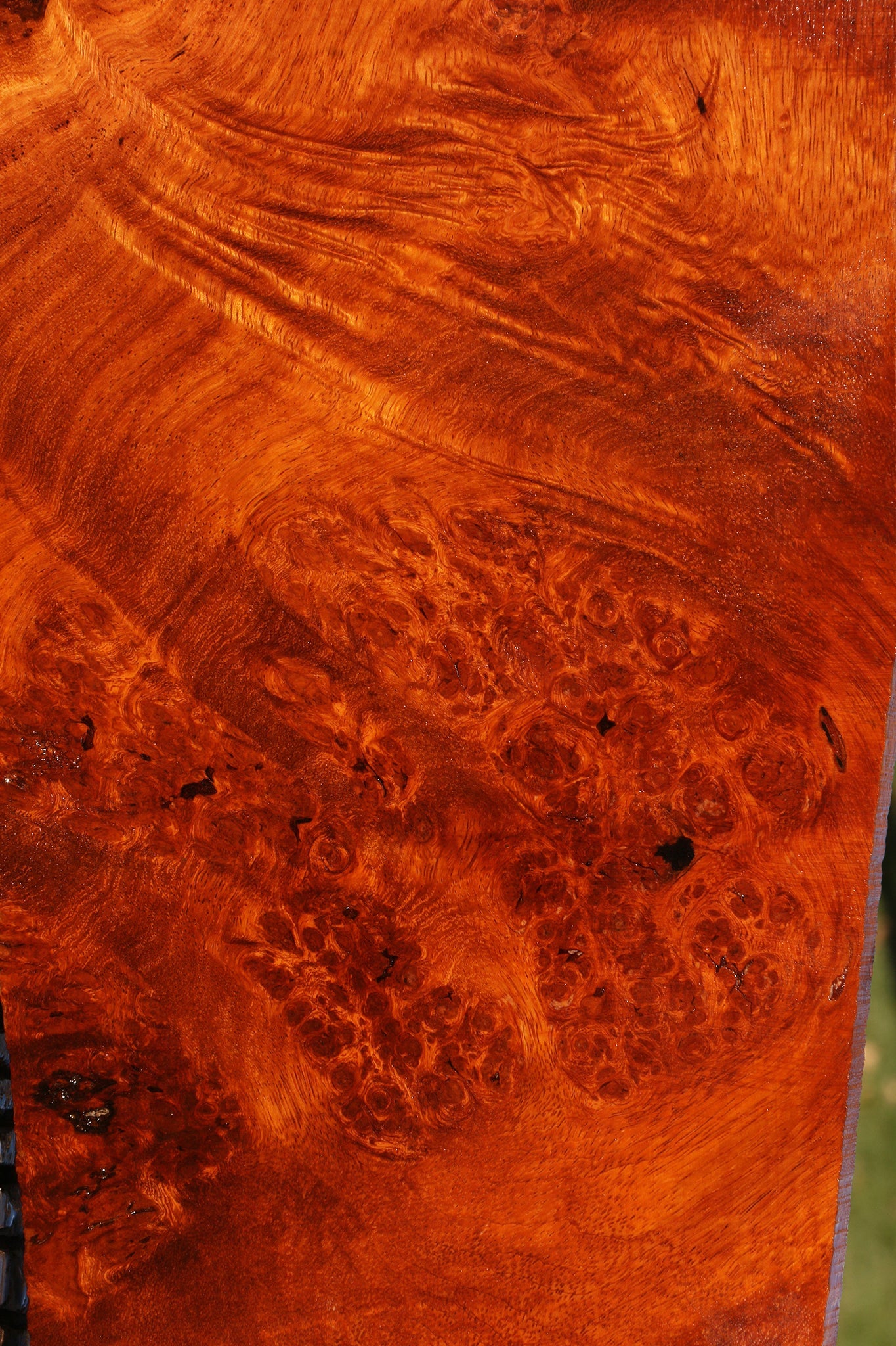 Figured Afzelia Burl Instrument Lumber