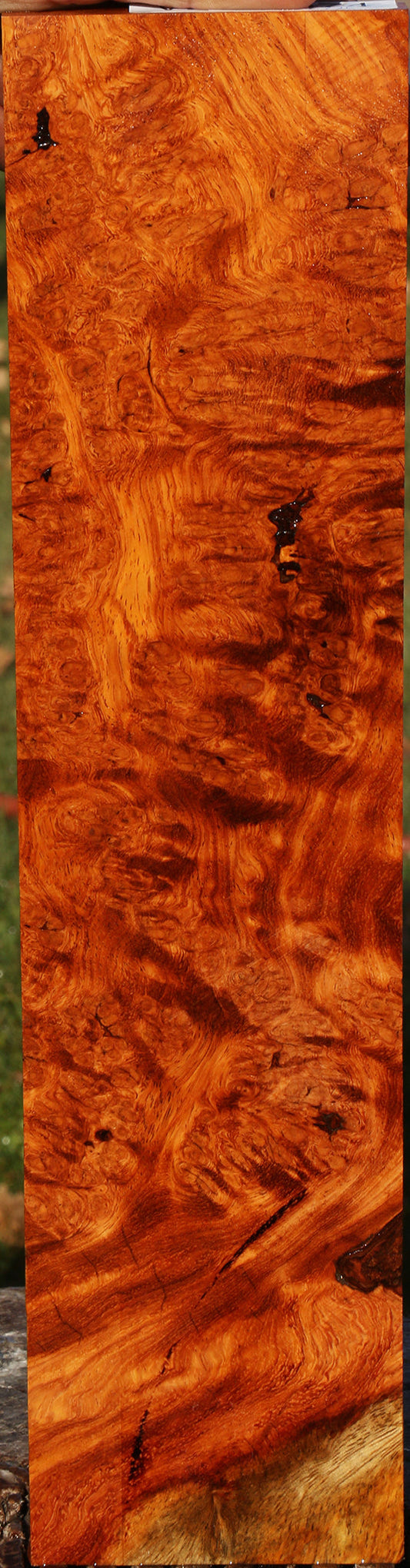 Afzelia Burl Lumber