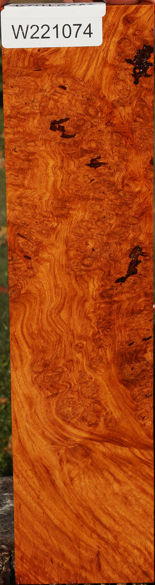 Afzelia Burl Lumber