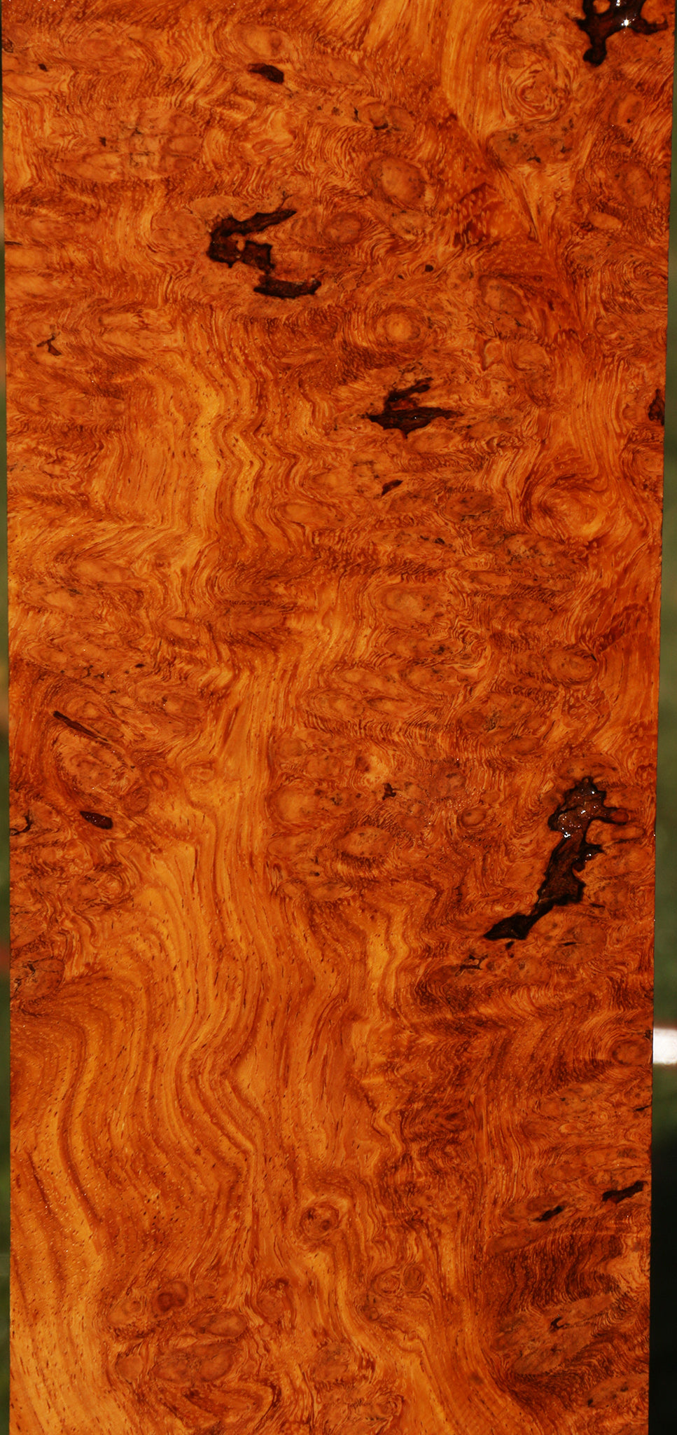 Afzelia Burl Lumber