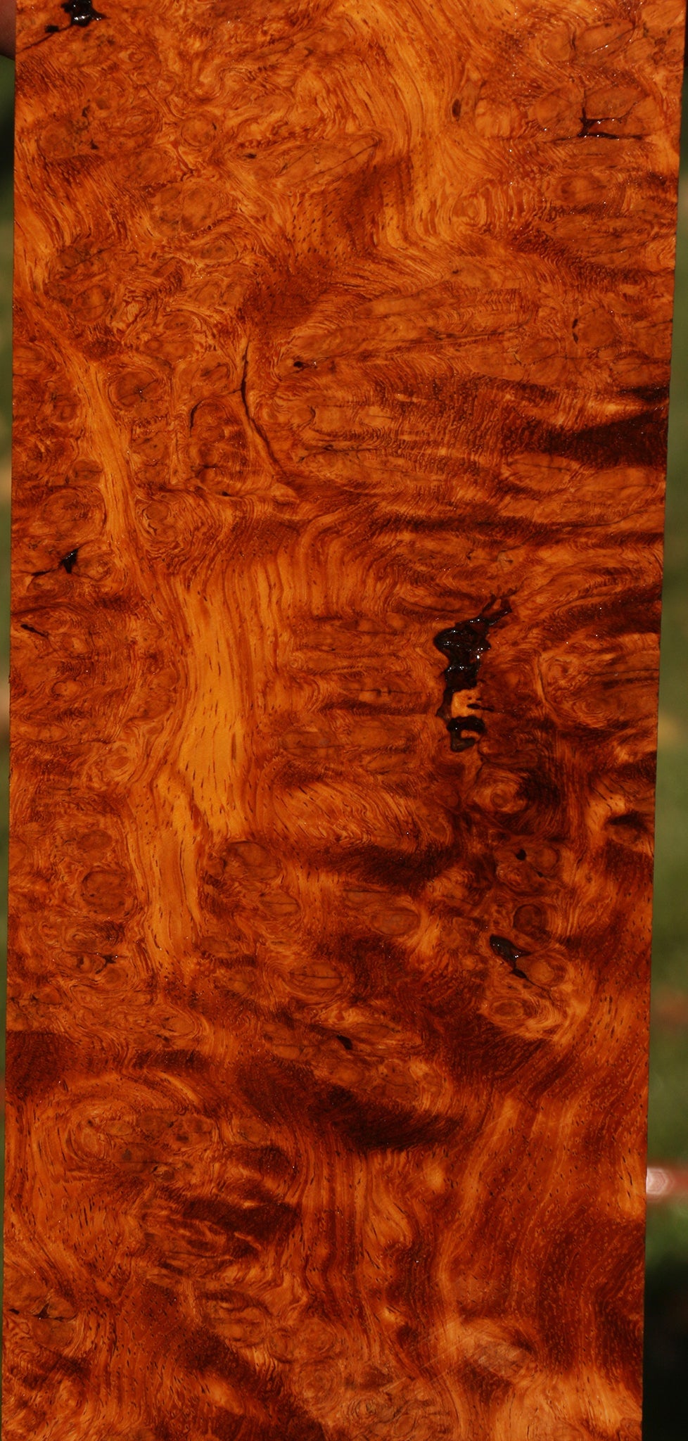 Afzelia Burl Lumber