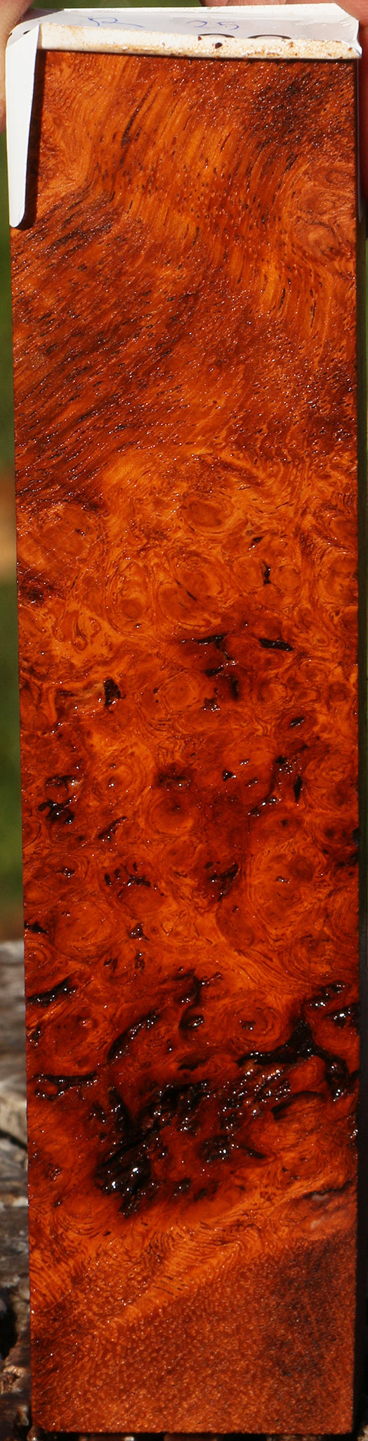 Rustic Afzelia Burl Lumber