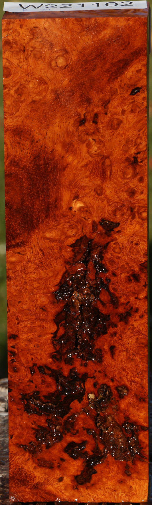 Rustic Afzelia Burl Lumber