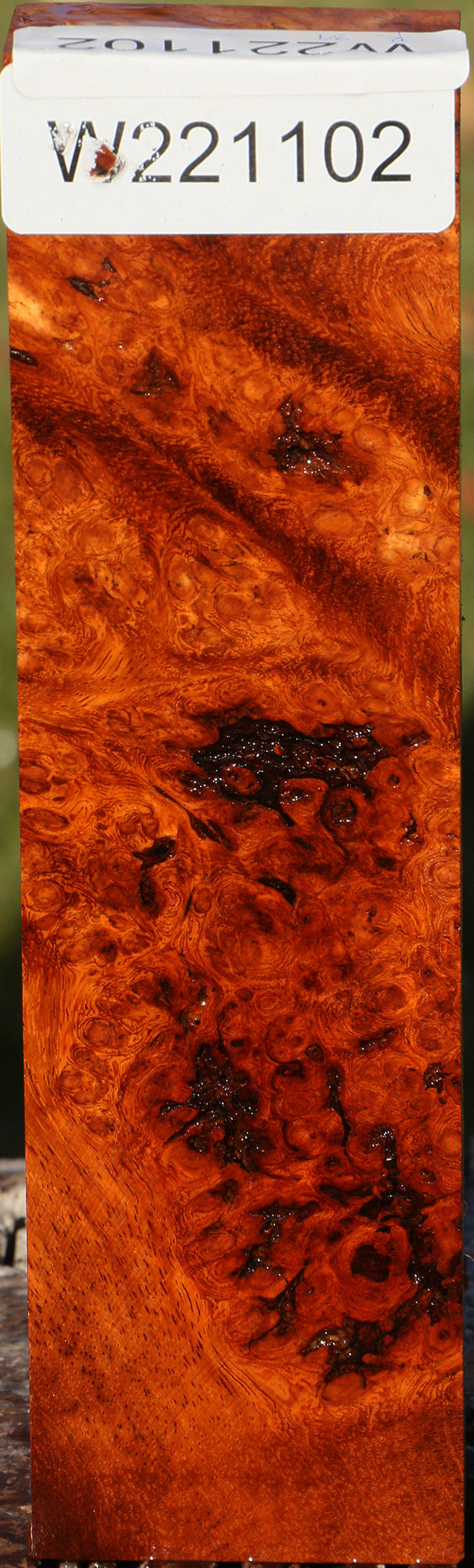 Rustic Afzelia Burl Lumber