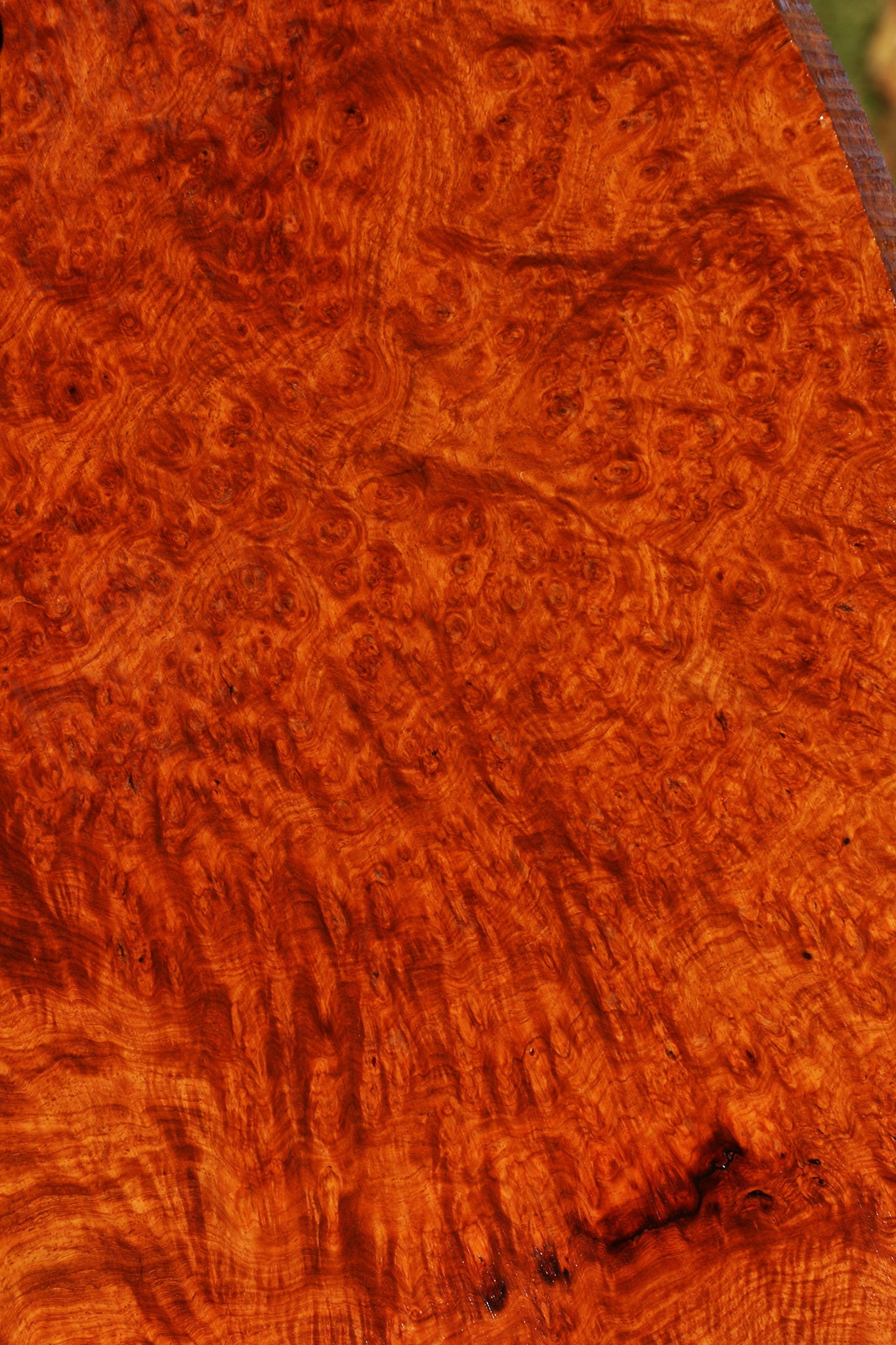 Afzelia Burl Lumber