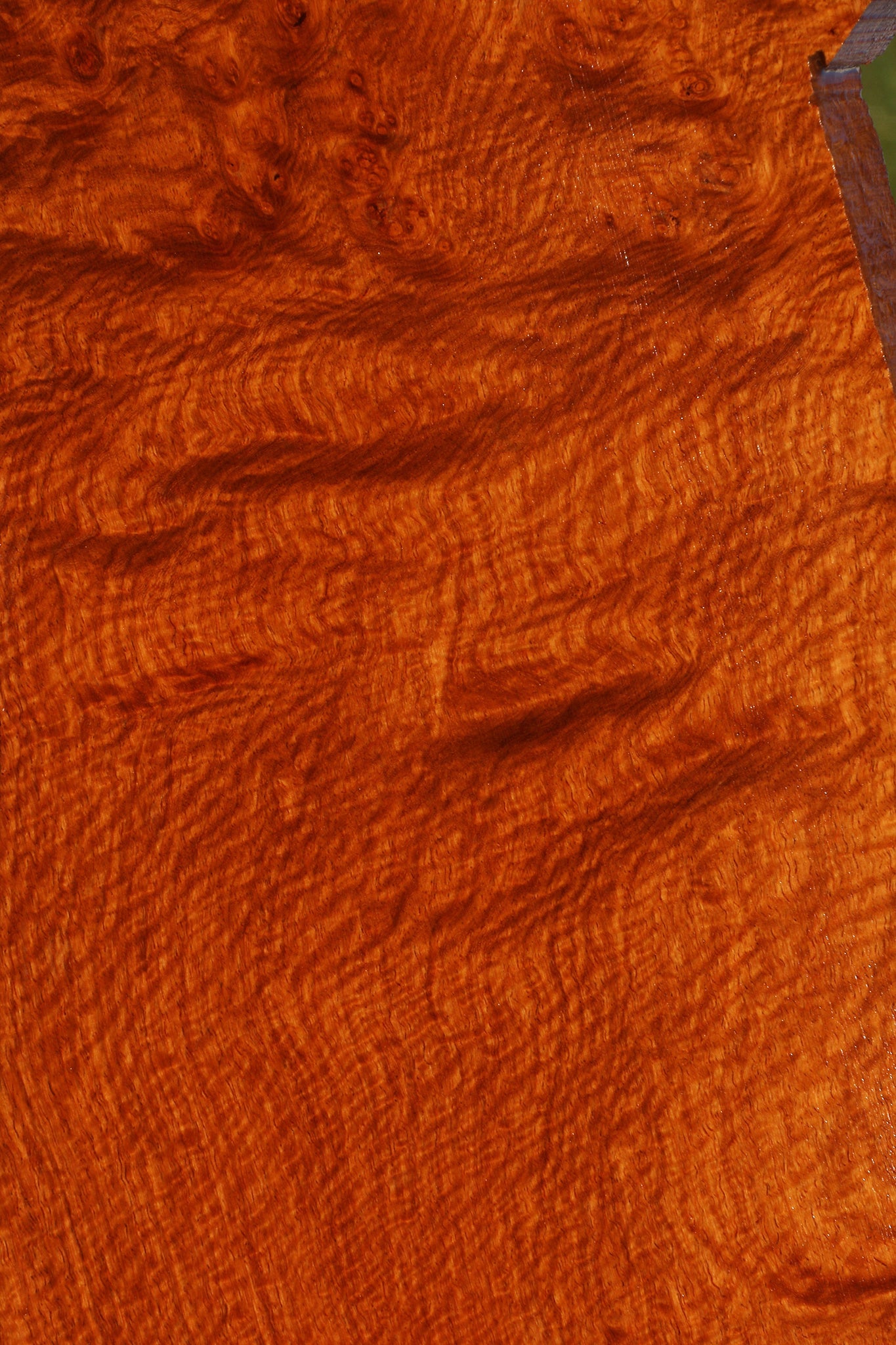 Afzelia Burl Lumber