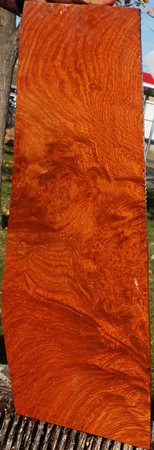 Figured Afzelia Burl Lumber