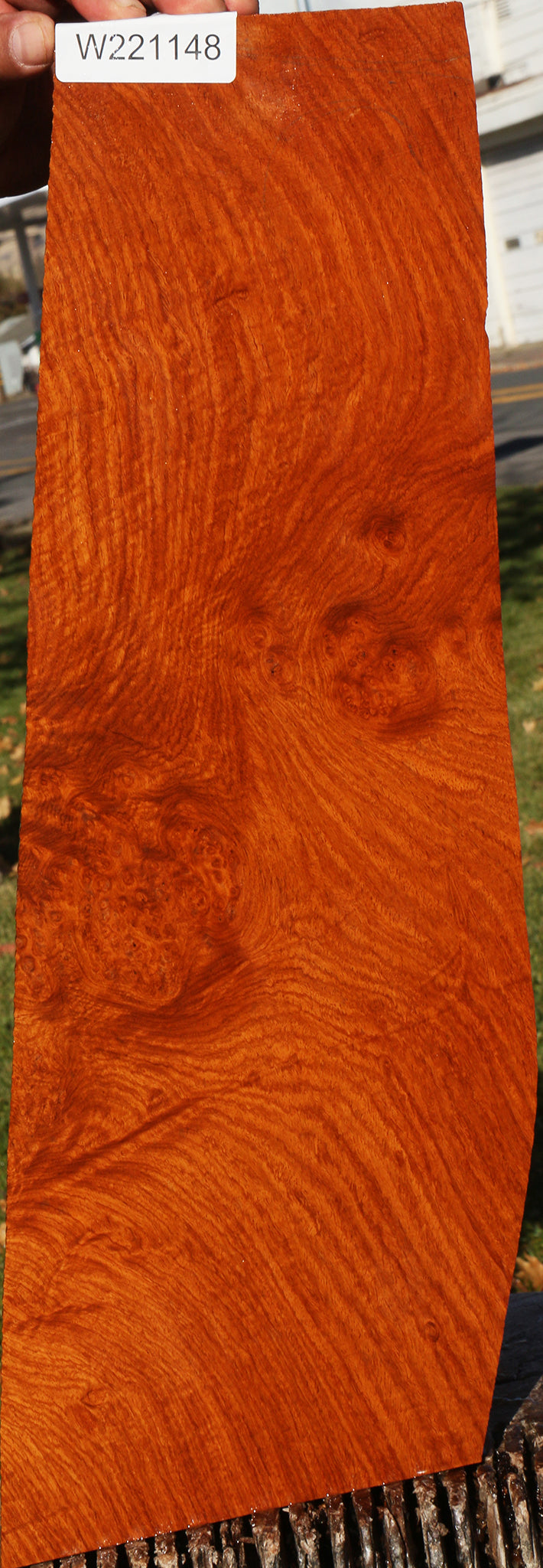 Figured Afzelia Burl Lumber