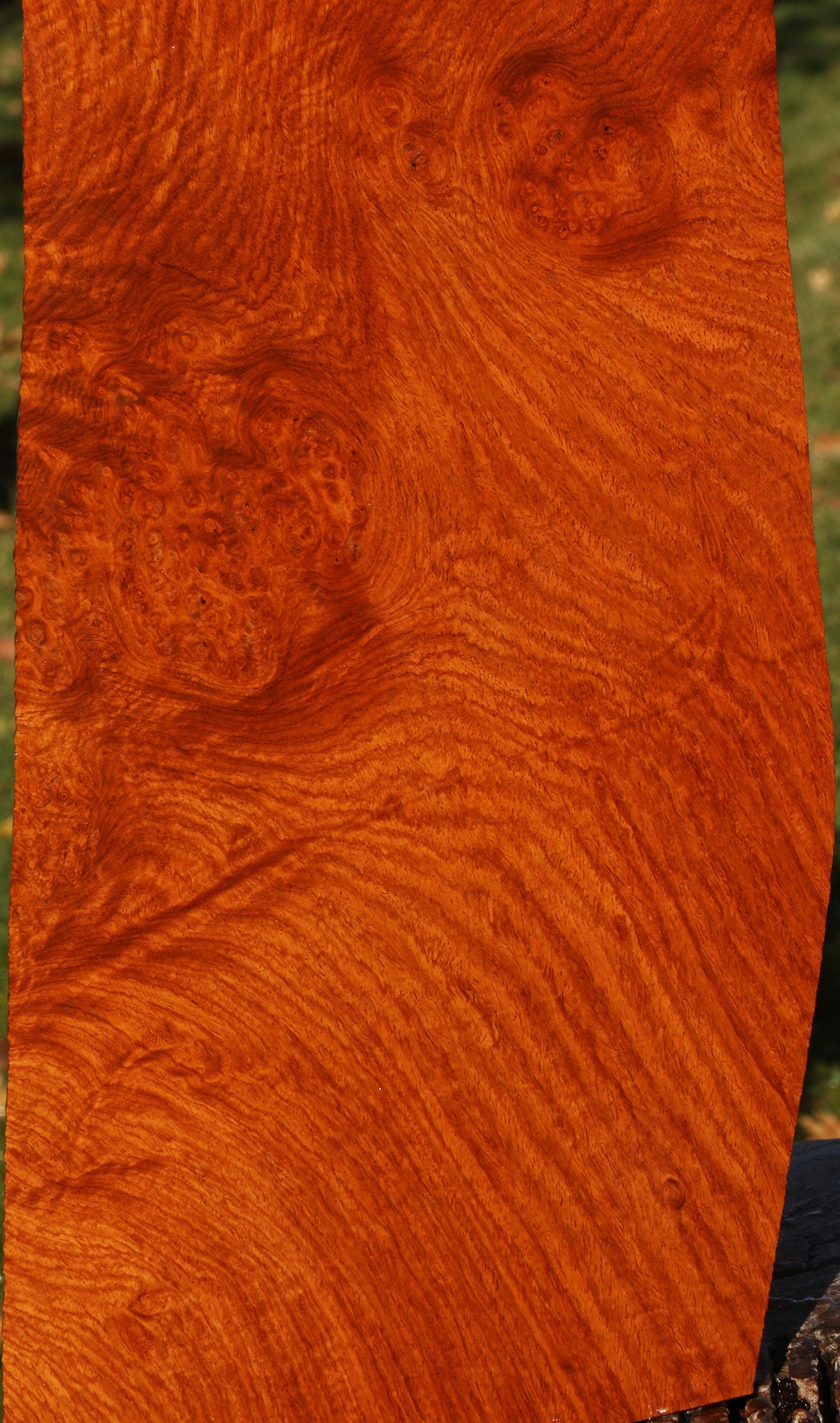 Figured Afzelia Burl Lumber