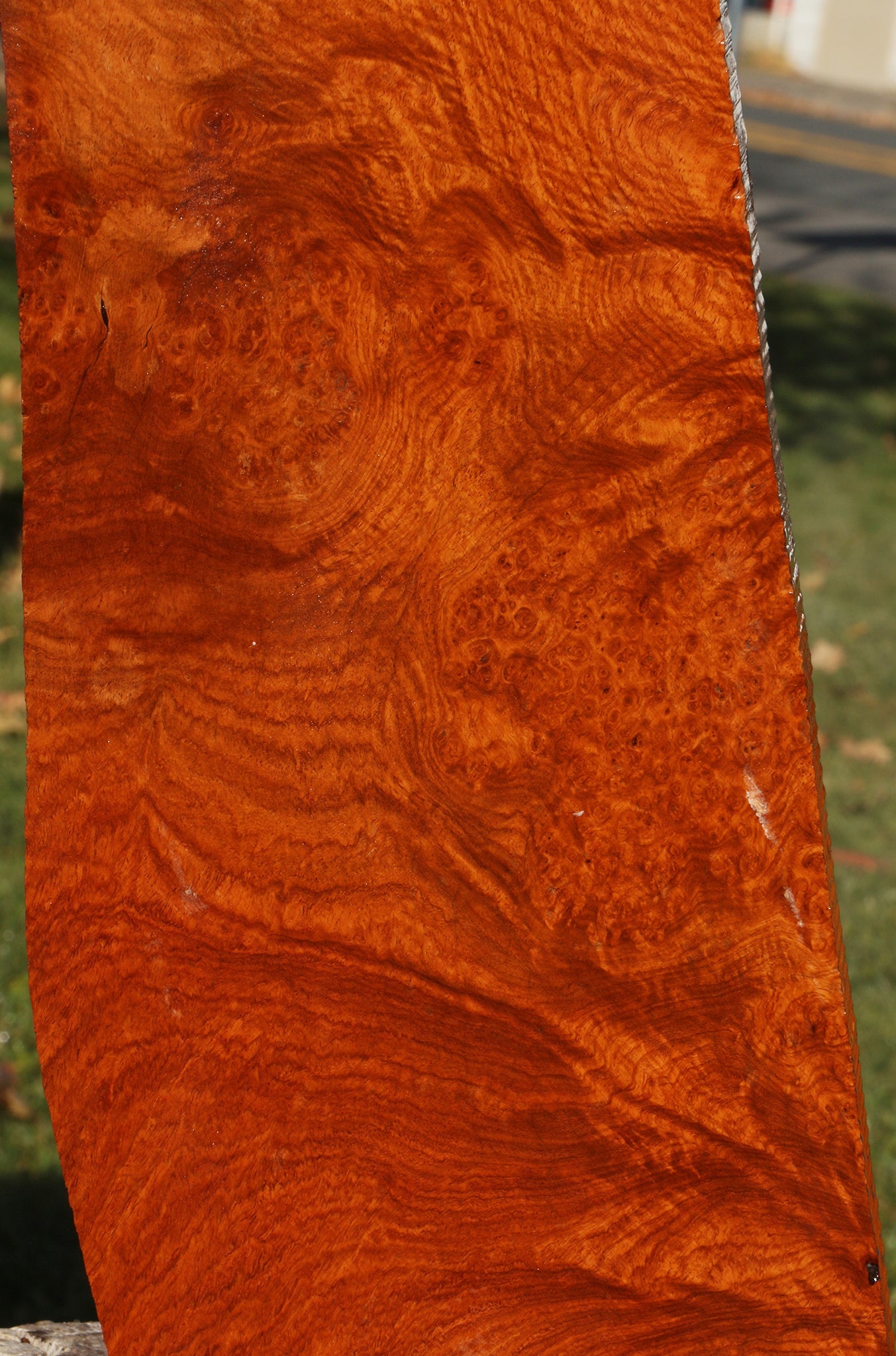 Figured Afzelia Burl Lumber