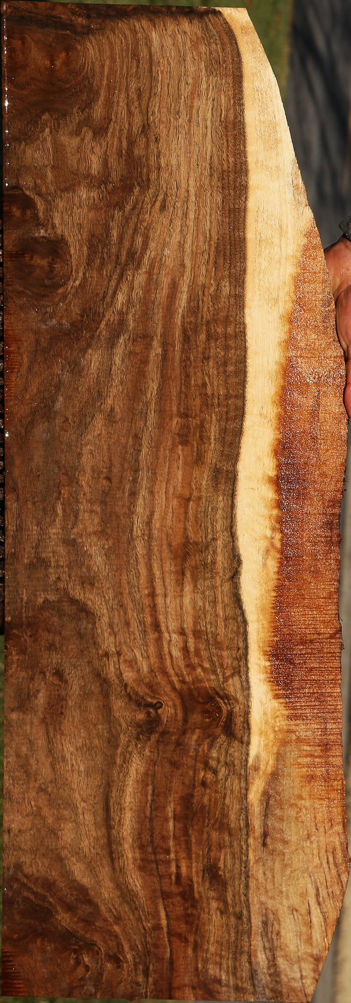 Figured Claro Walnut Live Edge Lumber