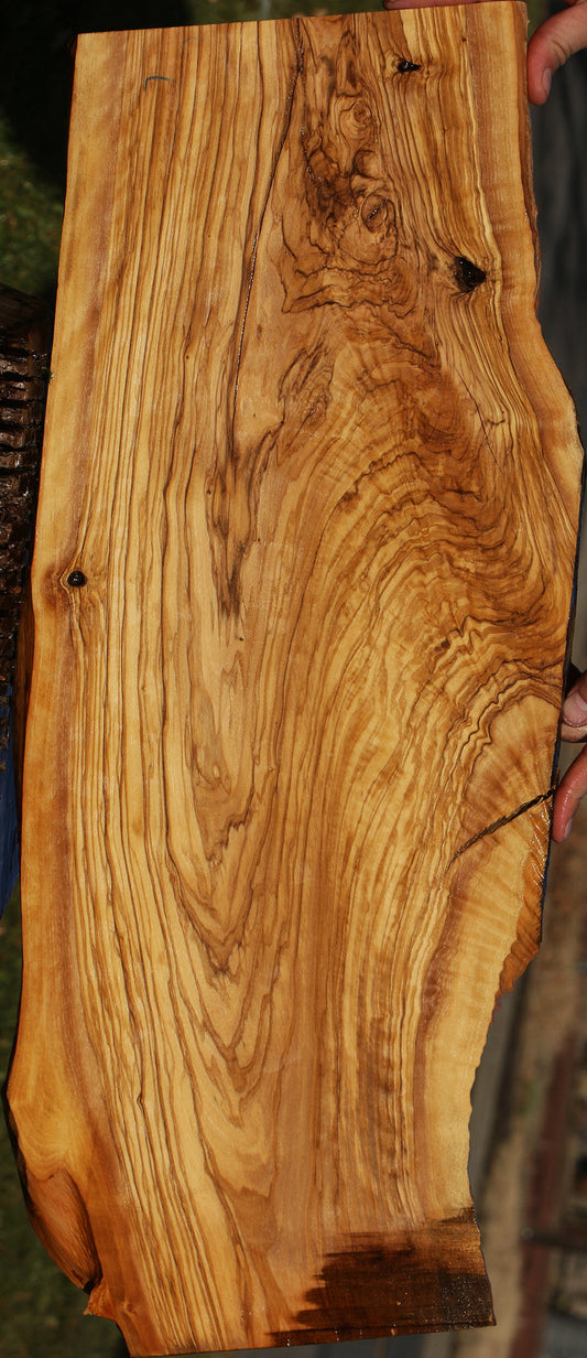 Italian Olive Live Edge Lumber