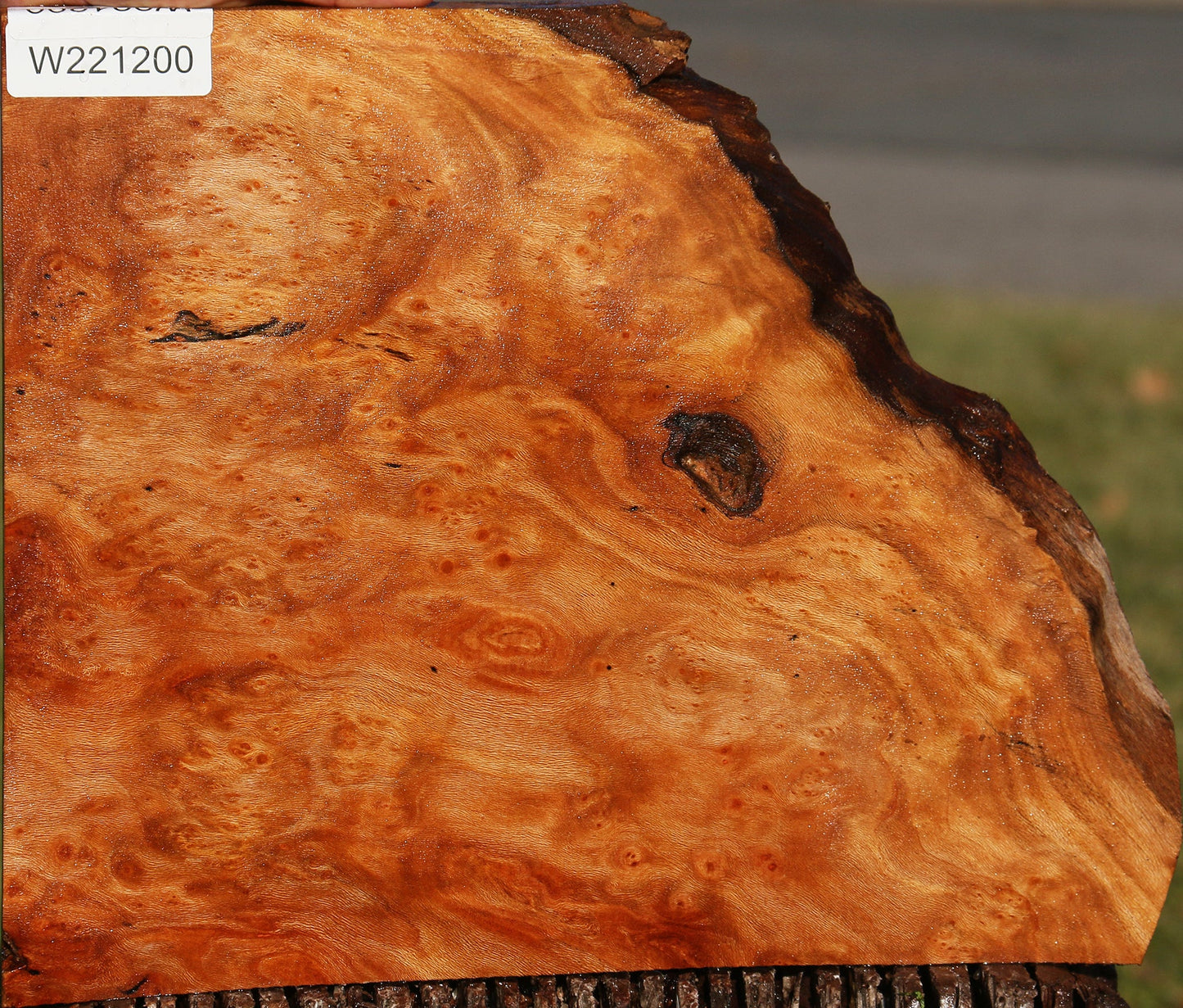 Sycamore Burl Live Edge Lumber