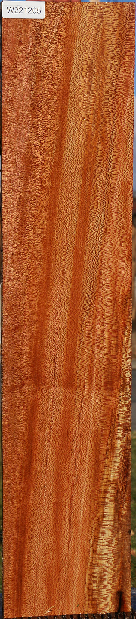 Figured Sycamore Micro Lumber