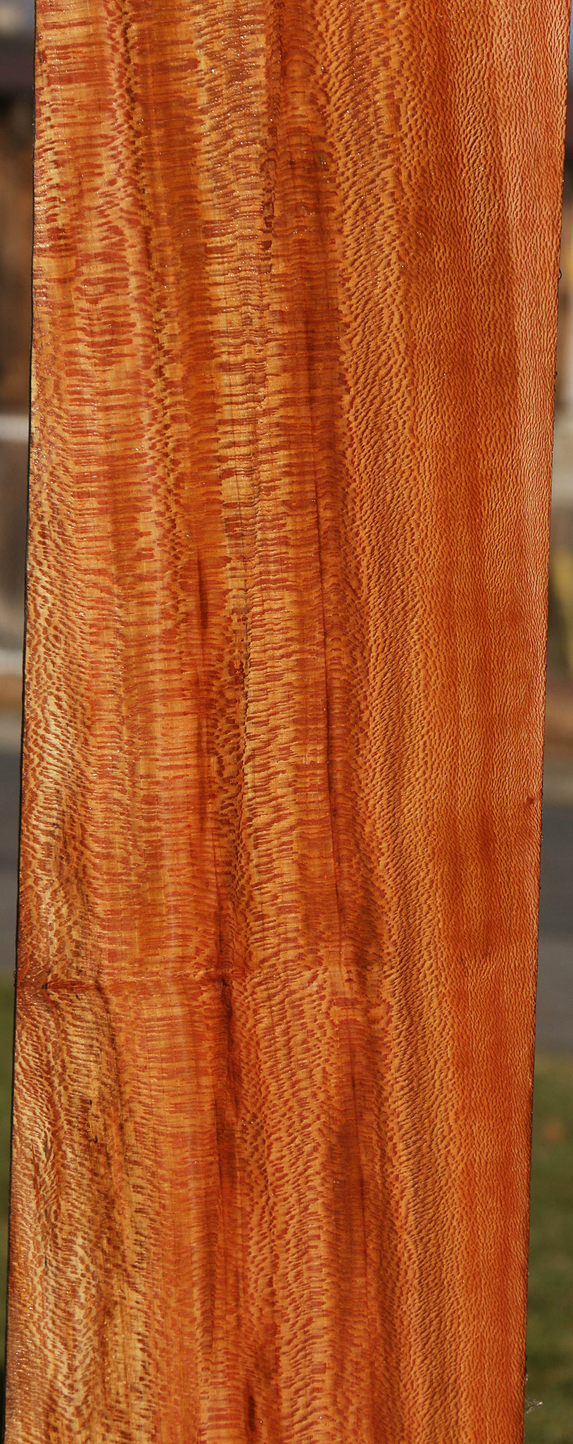 Figured Sycamore Micro Lumber