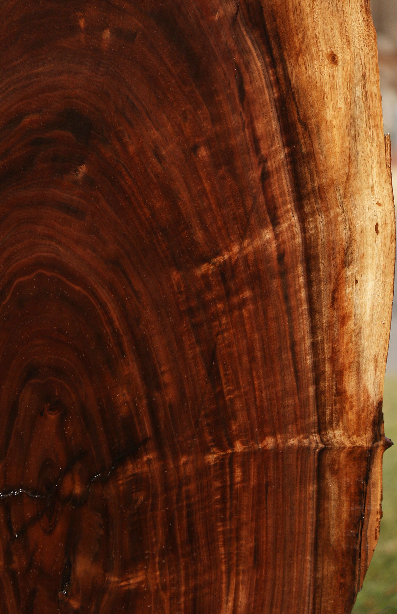 Claro Walnut Live Edge Mini Slab