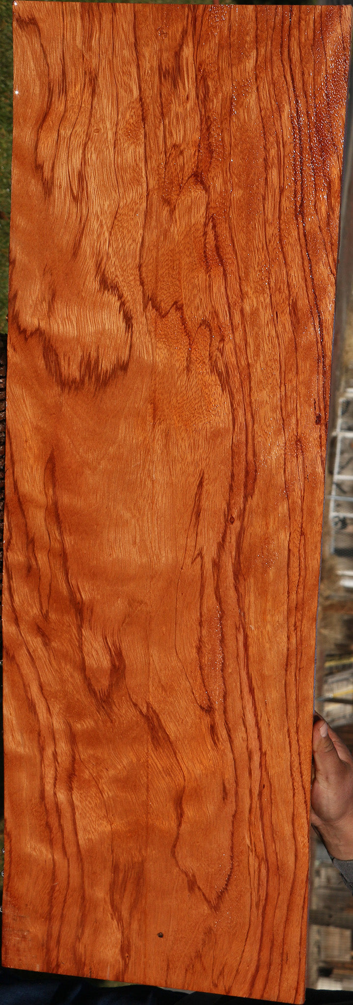 Figured Red Zebrawood Lumber