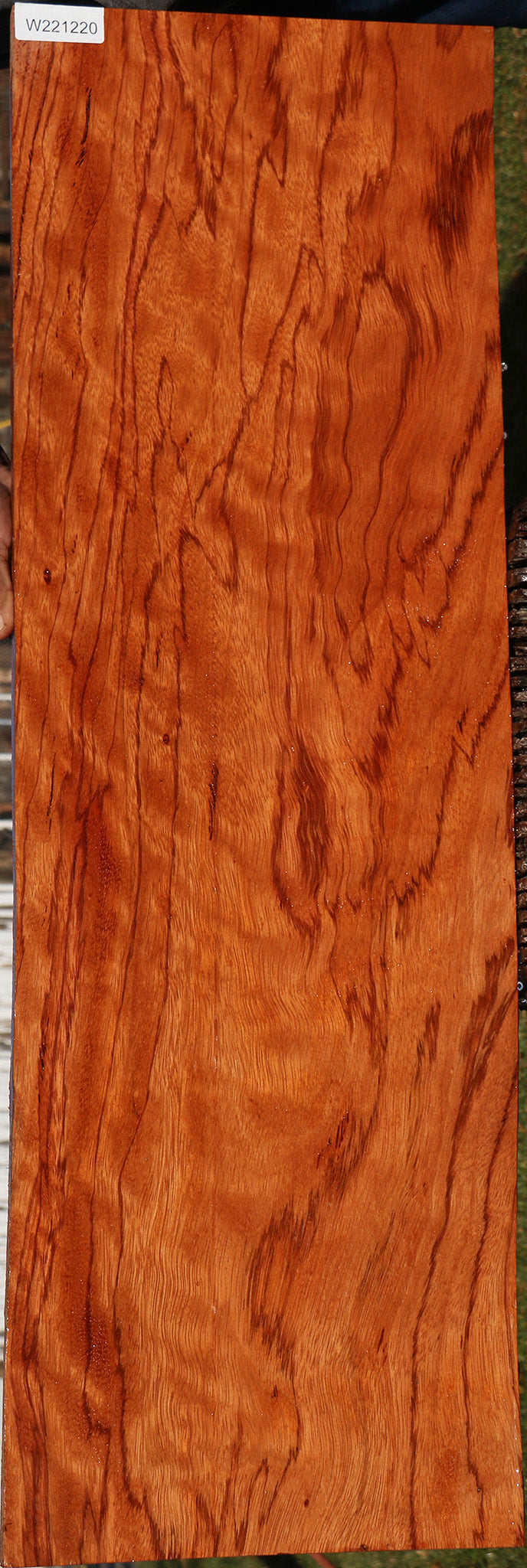 Figured Red Zebrawood Lumber