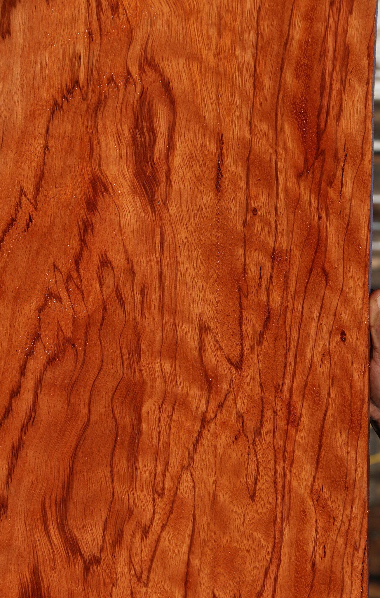 Figured Red Zebrawood Lumber