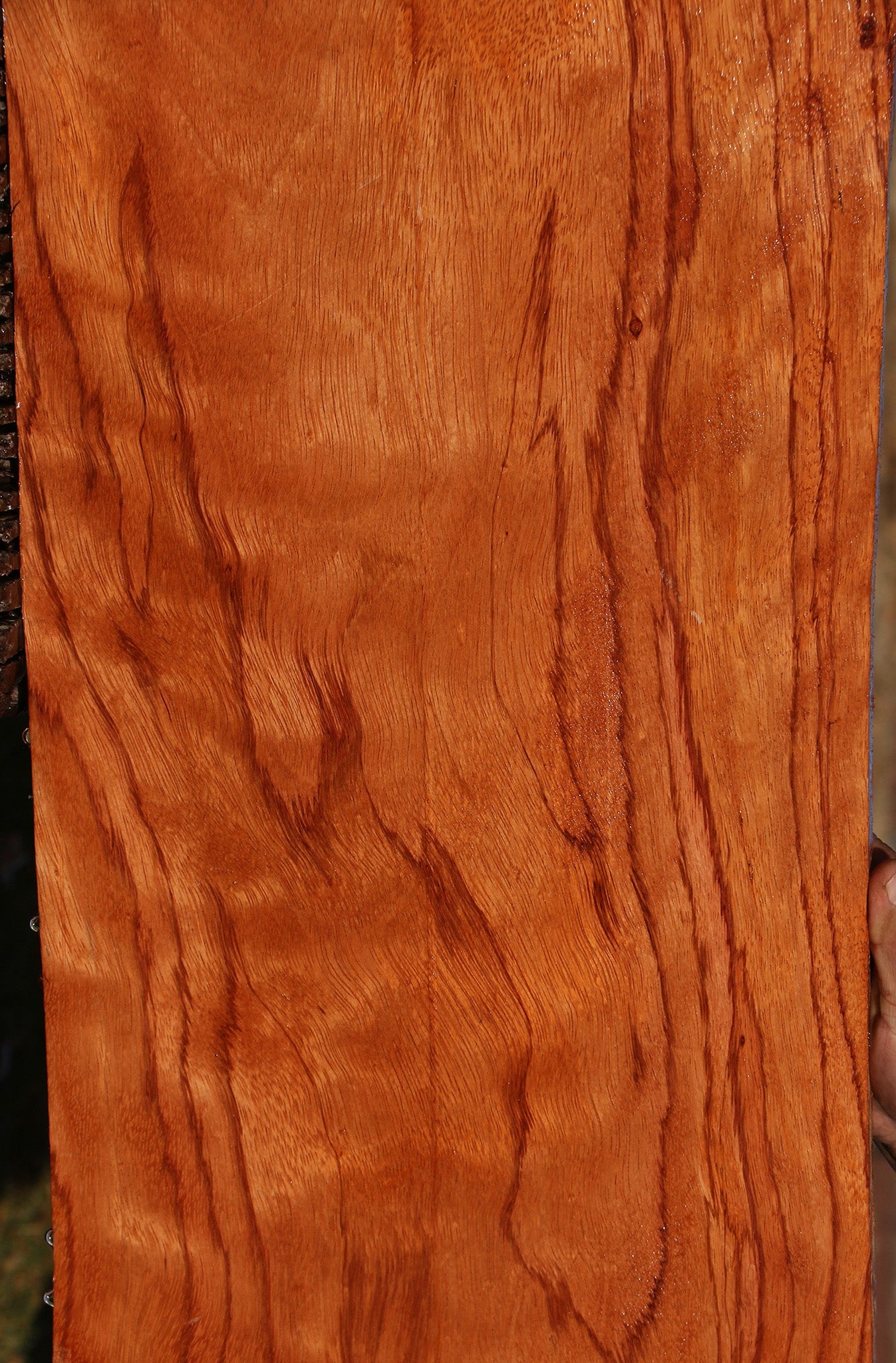 Figured Red Zebrawood Lumber