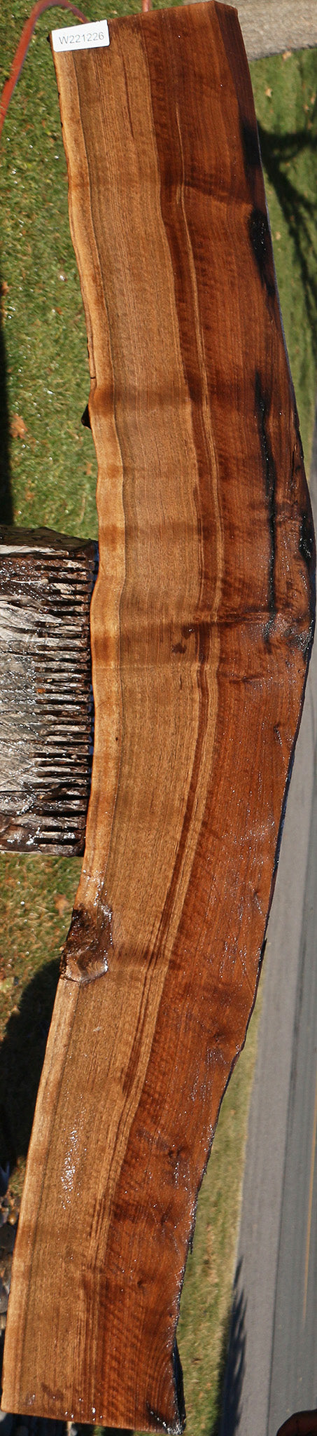 Figured Claro Walnut Live Edge Slab