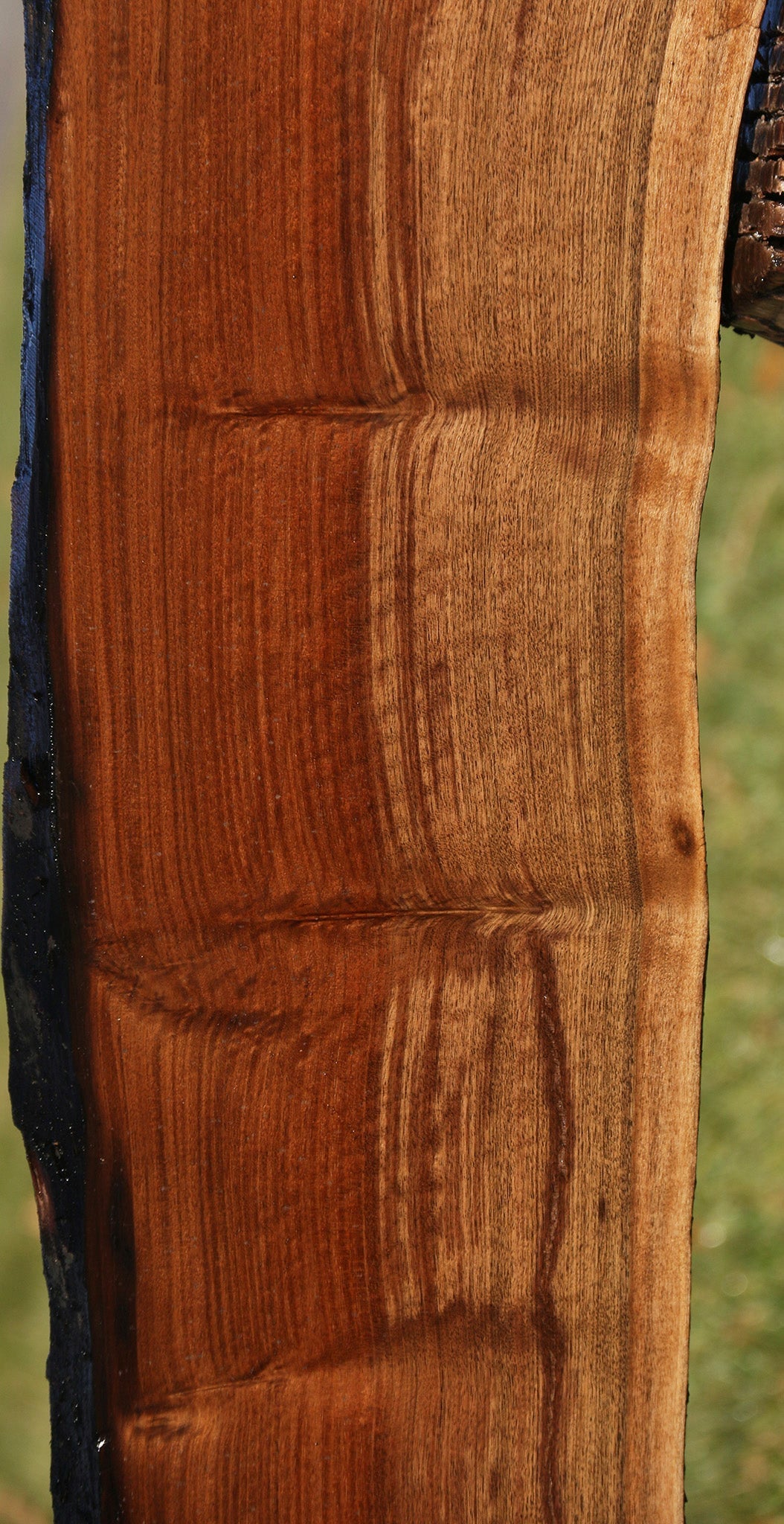 Figured Claro Walnut Live Edge Slab