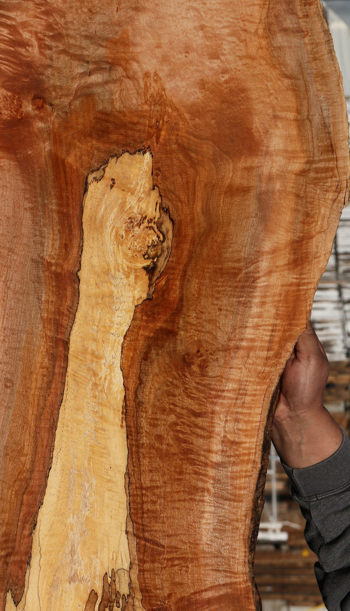 Figured Rustic Maple Live Edge Mini Slab