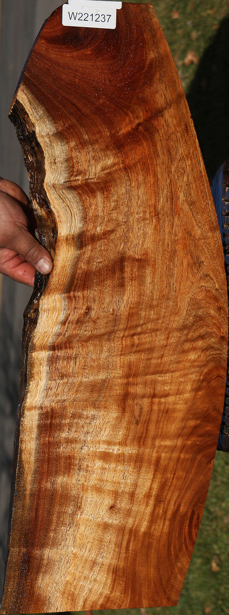 Figured Hawaiian Koa Live Edge Lumber