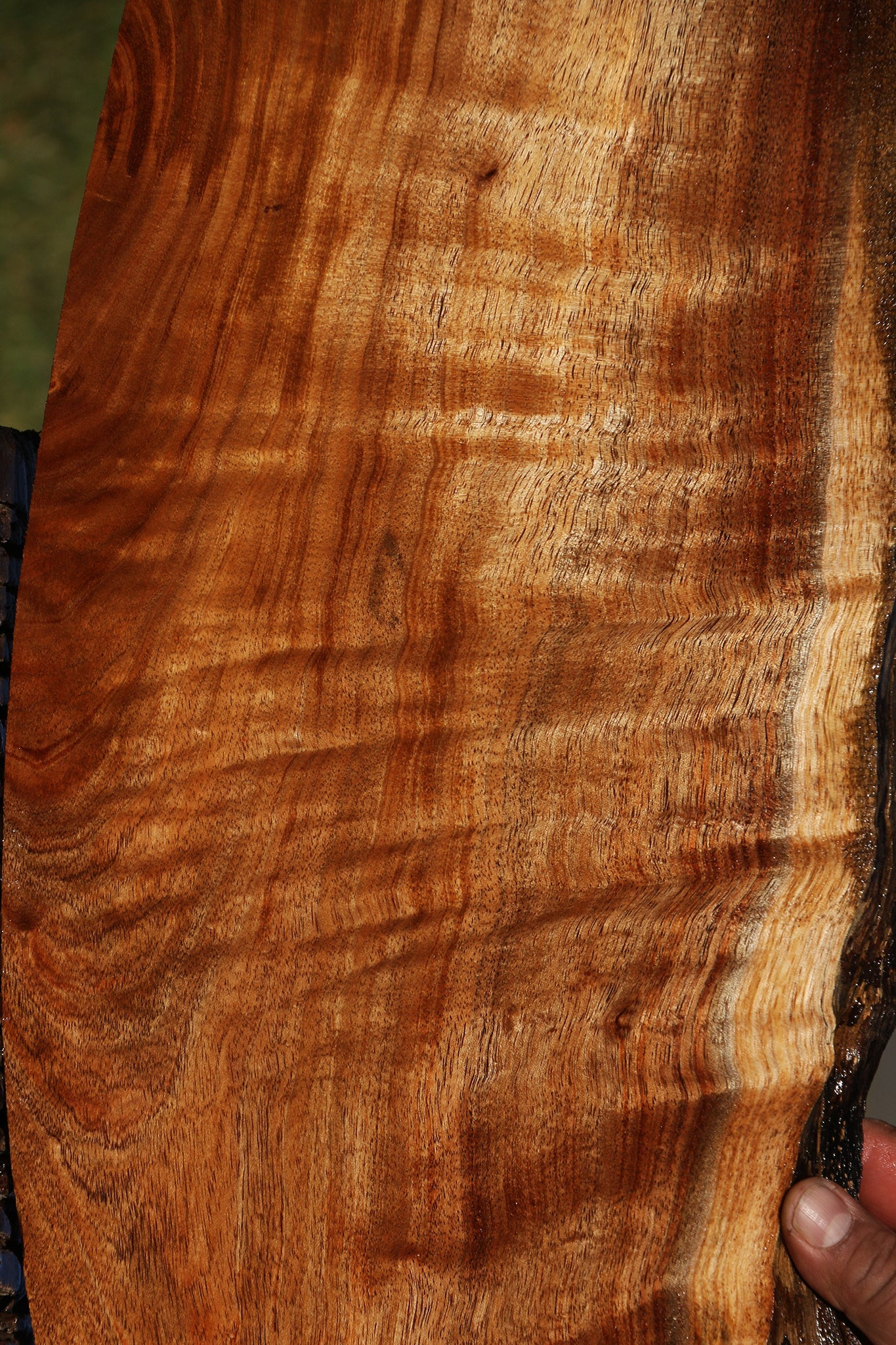 Figured Hawaiian Koa Live Edge Lumber