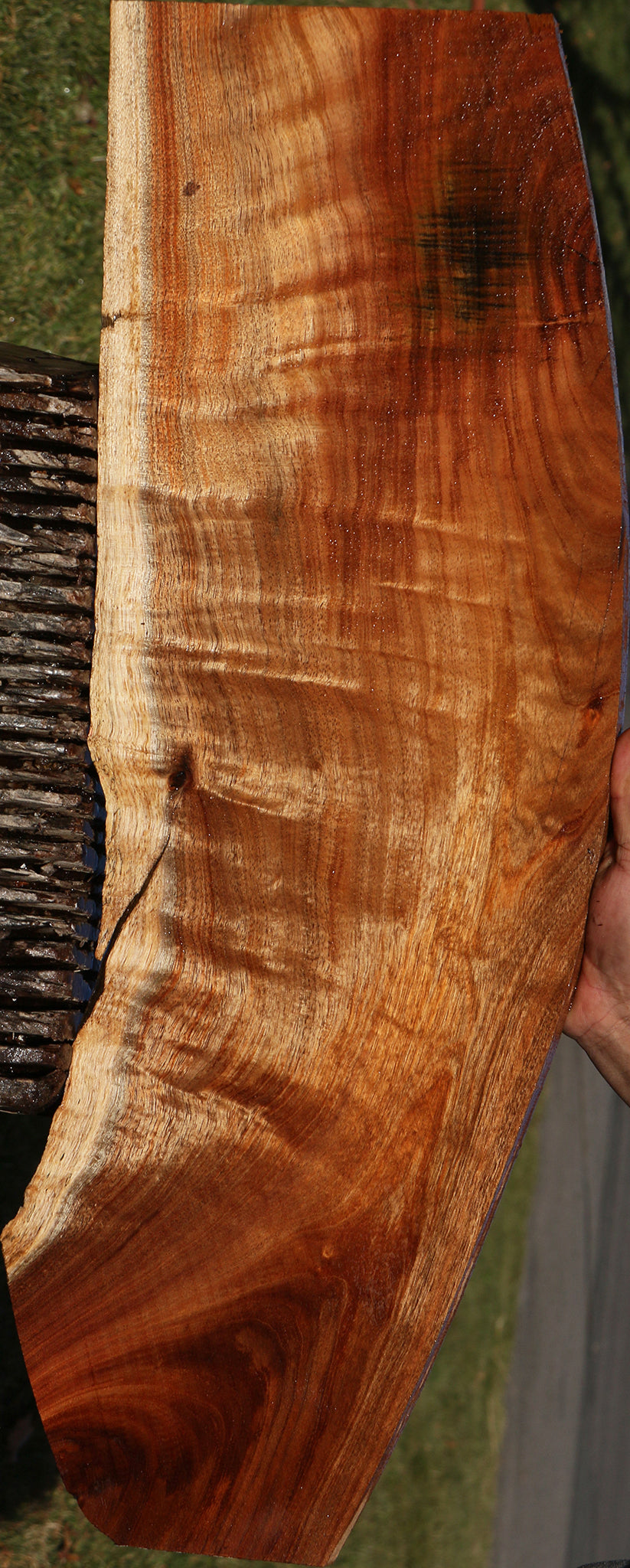 Figured Hawaiian Koa Live Edge Lumber