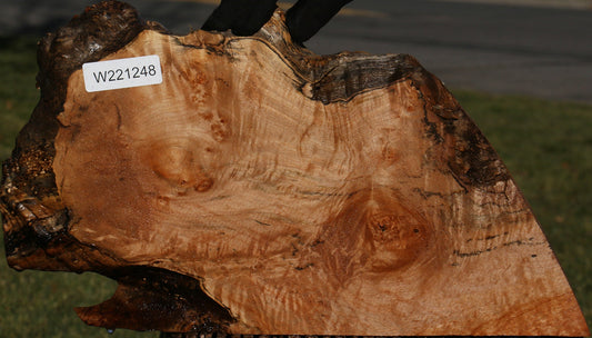 Maple Burl Live Edge Slice