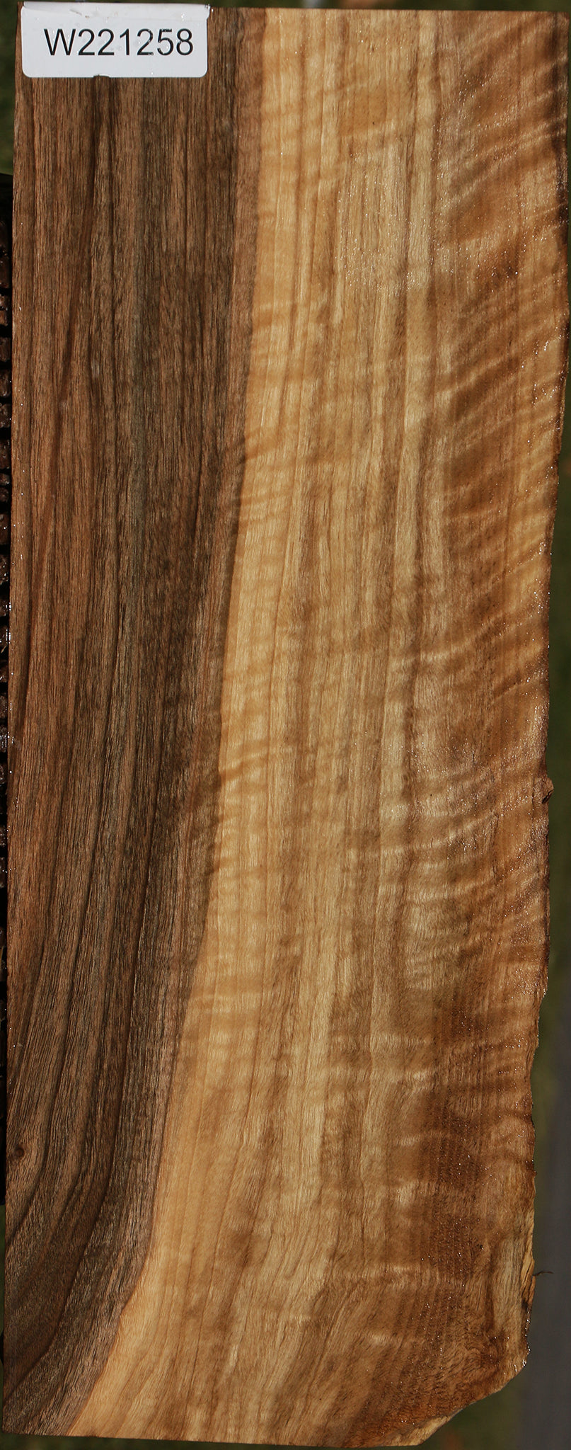 Fiddleback English Walnut Live Edge Lumber