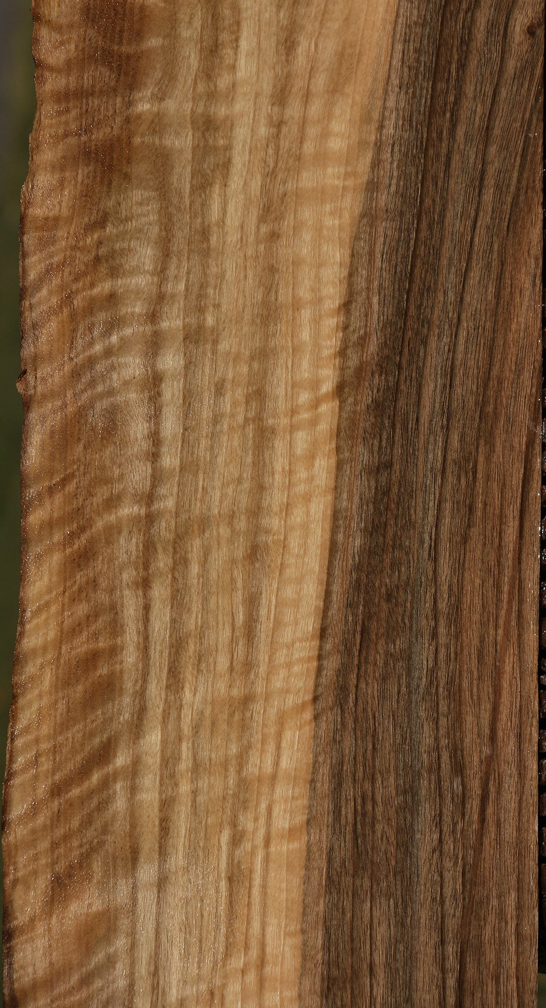 Fiddleback English Walnut Live Edge Lumber