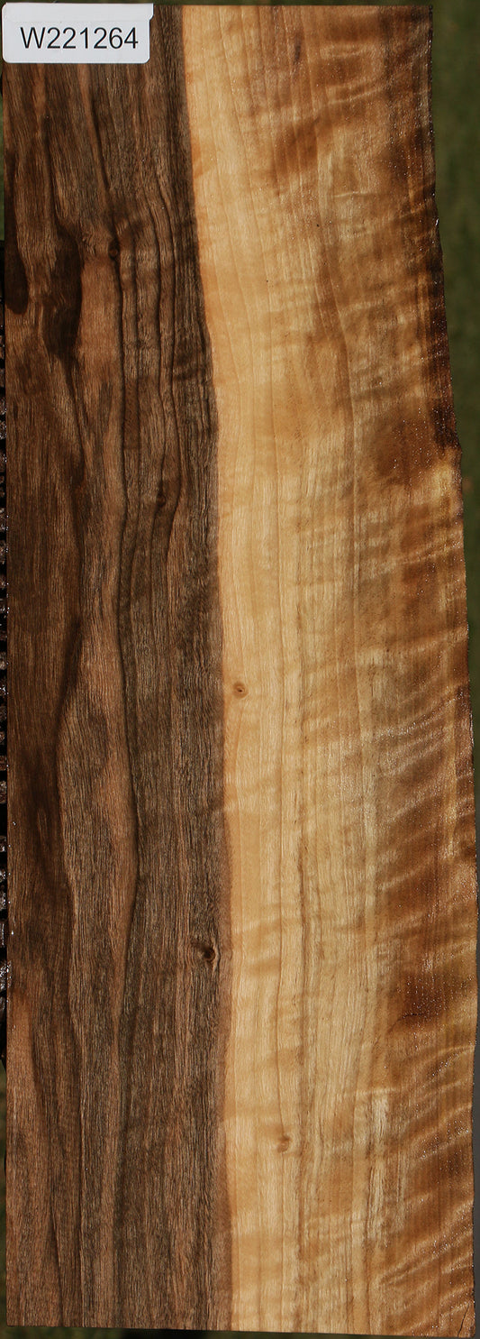 Fiddleback English Walnut Live Edge Lumber