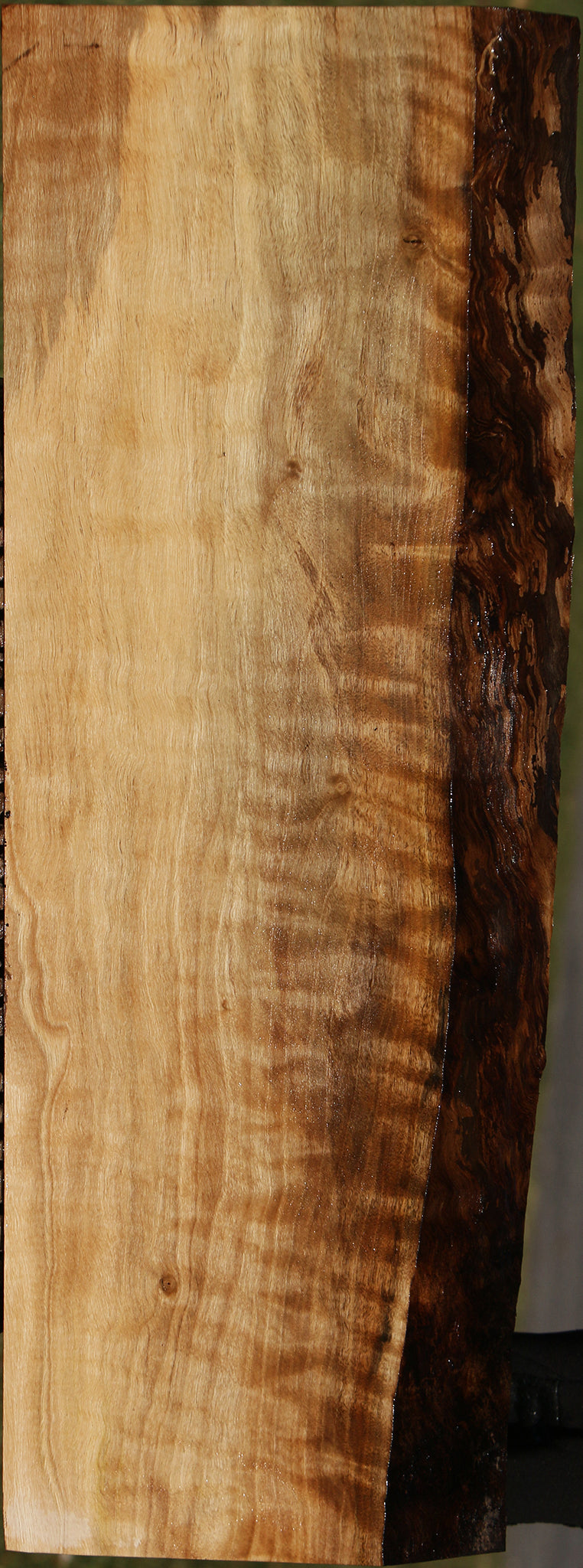 Fiddleback English Walnut Live Edge Lumber