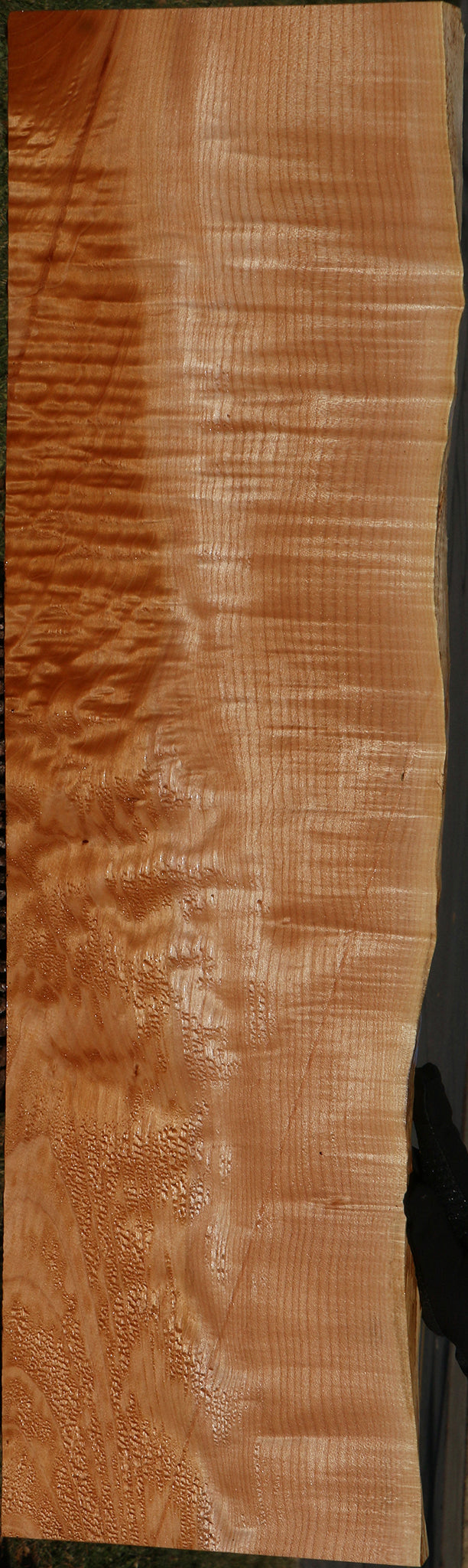 Figured Maple Live Edge Mini Slab