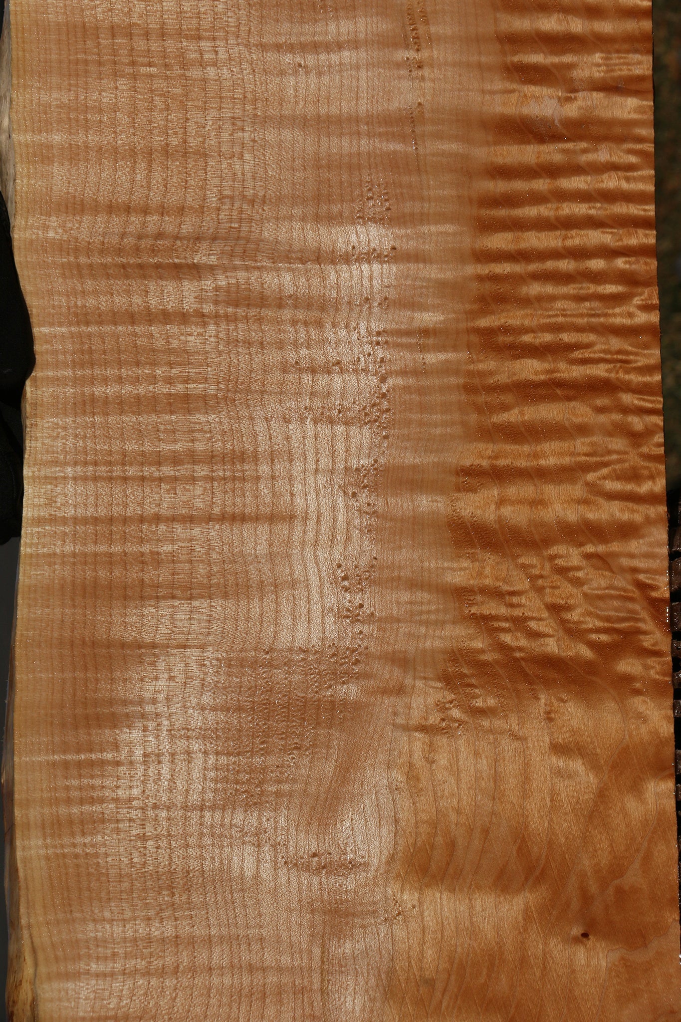 Figured Maple Live Edge Mini Slab