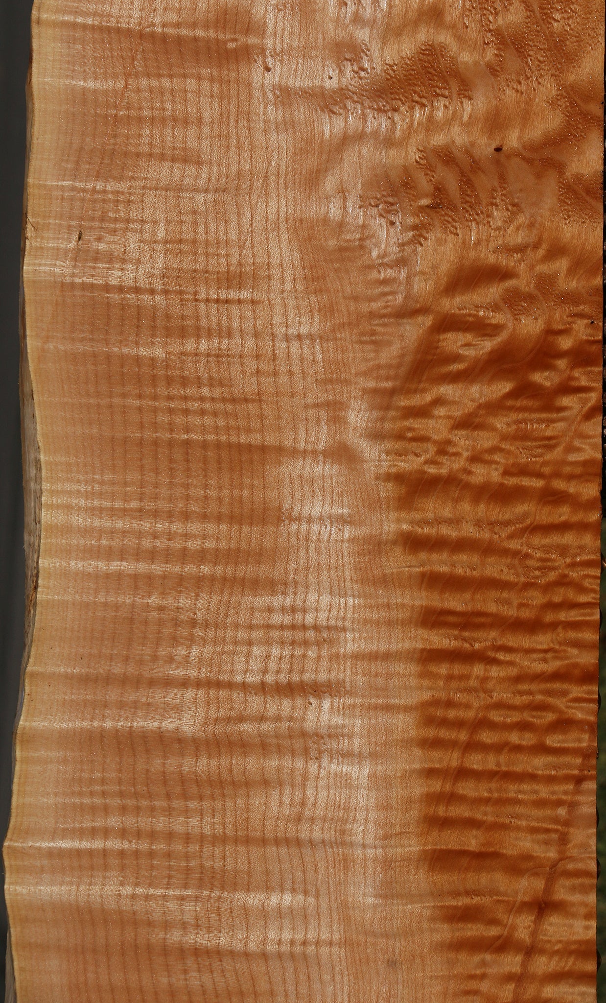 Figured Maple Live Edge Mini Slab