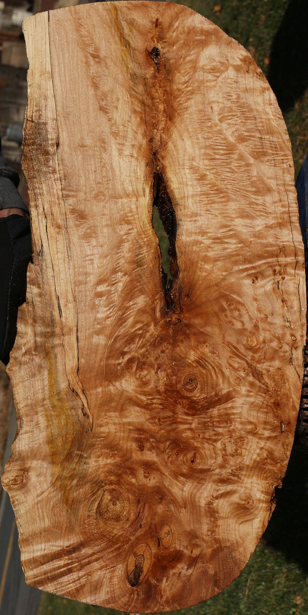 Figured Maple Burl Live Edge Mini Slab