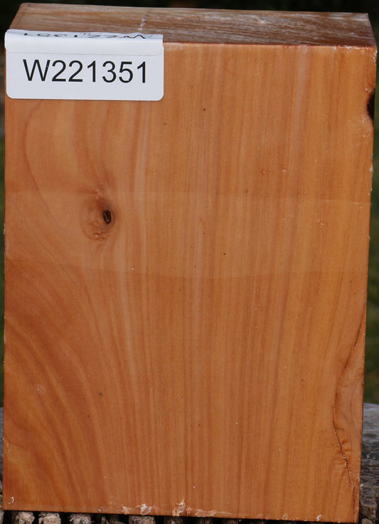 Figured Monterey Cypress Turning Blank