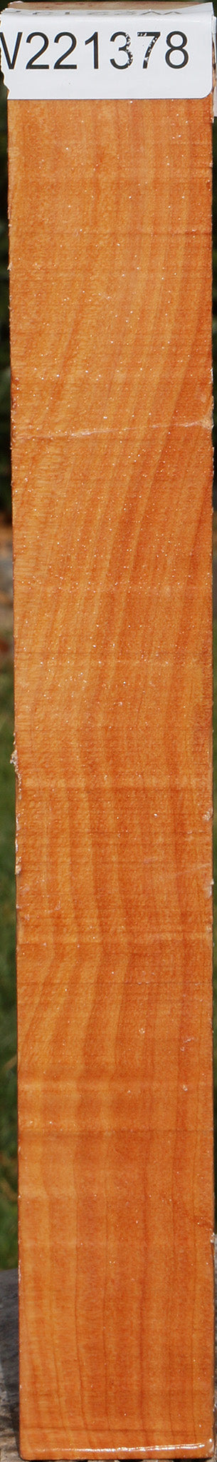 Monterey Cypress Turning Square